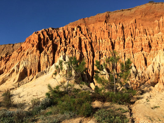 Diese Formationen erinnern uns an den Bryce Canyon in den USA