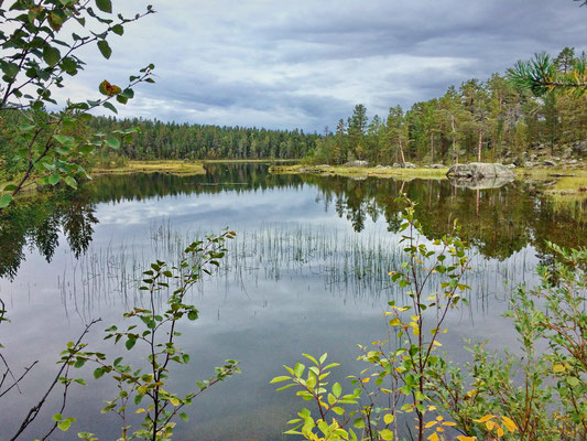 Dieses sorgt dafür, dass die Landschaft Lappland's voll zur Geltung kommt, wie dieser zauberhafte See mit den umgebenden Wäldern. 