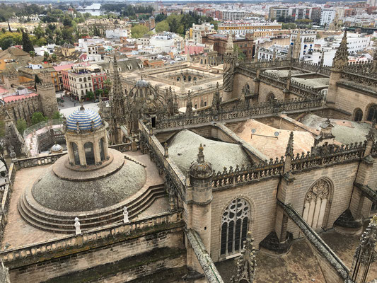 Beim Besteigen des Glockenturms kommen die Ausmasse der "Catedral de Santa Maria" so voll zur Geltung.