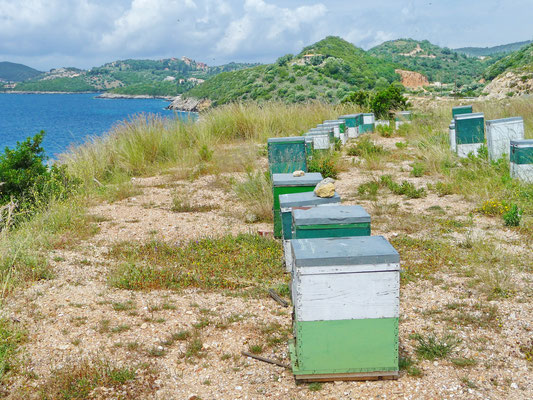 Immer wieder entdecken wir Bienenkästen, in welchen um diese Jahreszeit emsige Bienenvölker einen intensiven und schmackhaften Kräuterblühten-Honig produzieren.