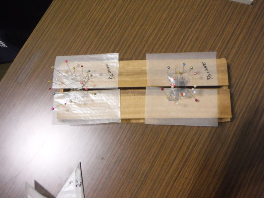夏休みワークショップ昆虫標本作り　形を整え、固定して乾燥させる