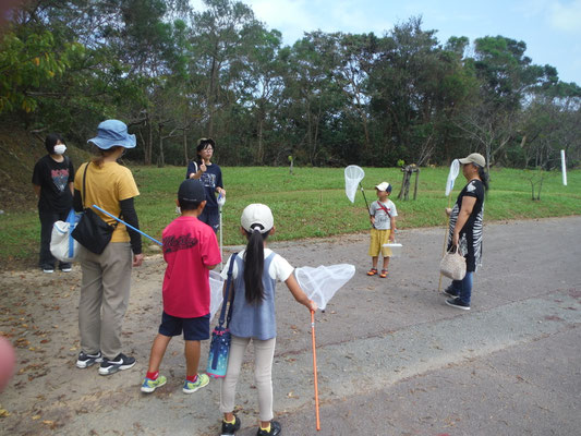 夏休みワークショップ昆虫標本作り　八重岳で採集