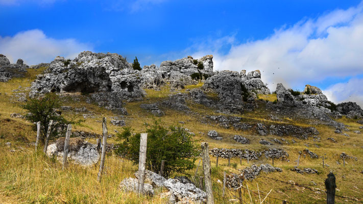 pature-et-chaos-rocheux-de-nimes-le-vieux-sur-le-causse-mejean-hebergement-en-gite-d'-exception-en-aveyron-le-colombier-saint-veran-osez-l'-experience-5-etoiles-credit-photo-mcg