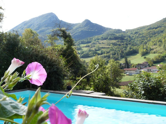 Piscine avec vue