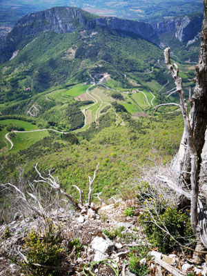 Là, c'est bon. Dessous, de la terre verticale!!!