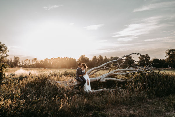 Hochzeitsfotograf Berlin Brandenburg Eberswalde Hochzeitsfotografie