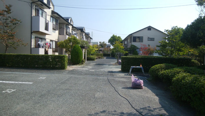 剪定途中の状況A棟前の植栽