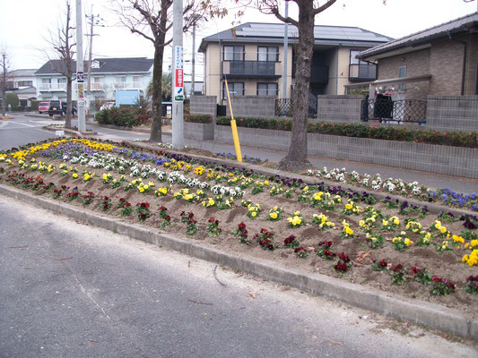 近隣の武藤自治会菜園