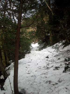 登山道は雪に覆われている