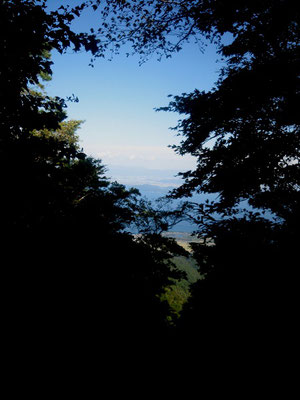 金糞峠から琵琶湖を望む