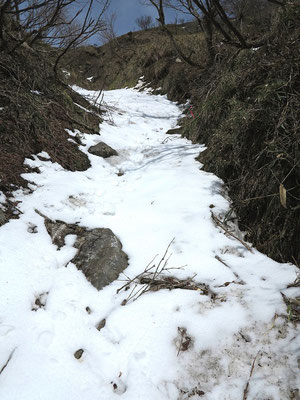 残雪の登山道