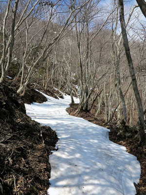 登山道を残雪が覆っている