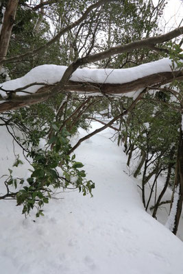 出合の登山道は雪で分かり難い