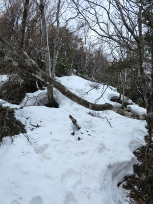 登山道には”たっぷり”の残雪