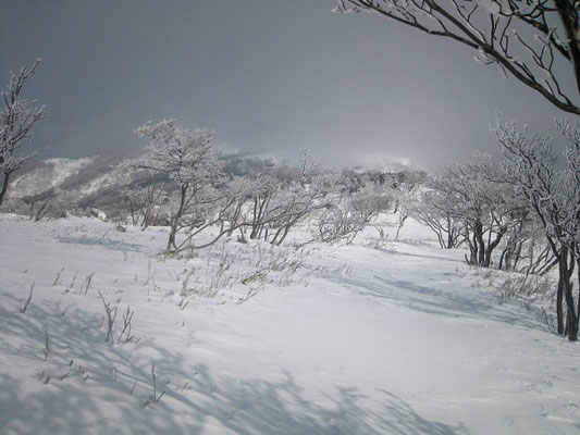 雪に隠れた登山道奥に蓬莱山