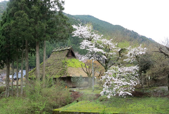 日本昔話の様な風景