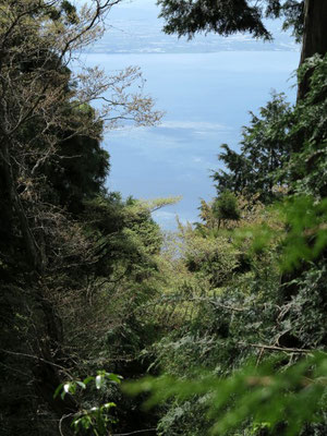 琵琶湖が見えた