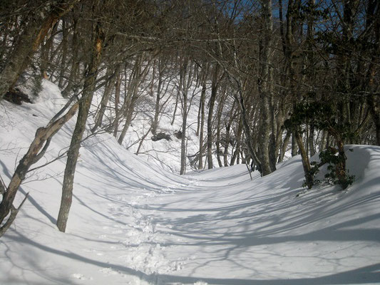 雪に覆われた登山道上部