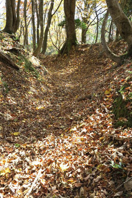 落ち葉の登山道