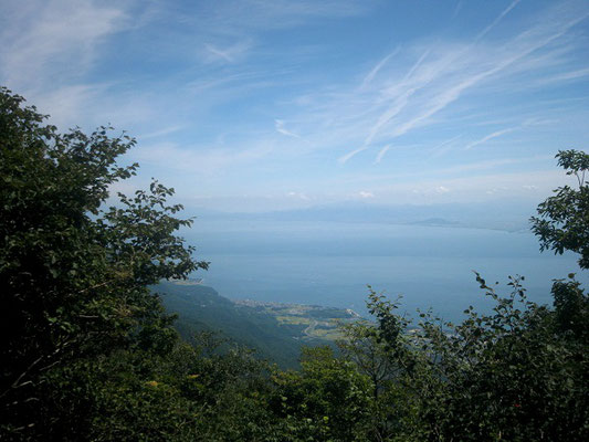 琵琶湖を見下ろす
