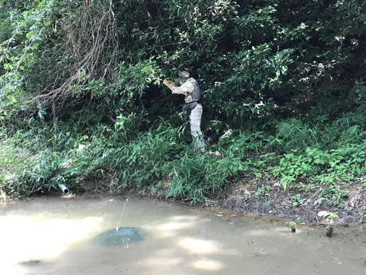 第2キャンプ場にザリガニ捕獲網投入