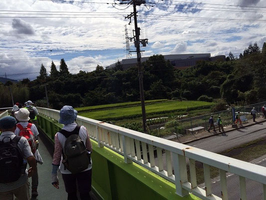 阪奈道路渡りまーす