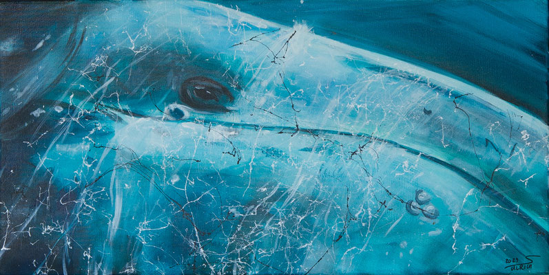 Beluga blue - Acryl auf Leinwand, 60x30 cm, 2024, S. Ulrich - VERKAUFT