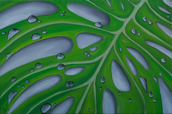 Monstera - Acryl auf Leinwand, 60X40 cm, 2011, S. Ulrich - VERKAUFT