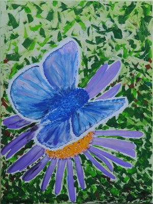 Bläuling auf Aster (Foto F. Etl) - Acryl auf Leinwand, 60x80 cm, 2026, U. Schachner