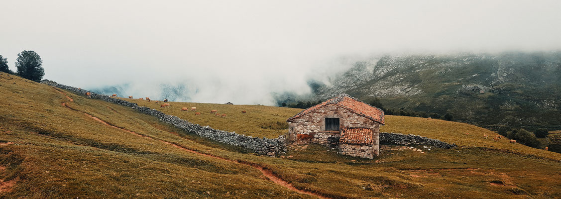 PICOS DE EUROPA