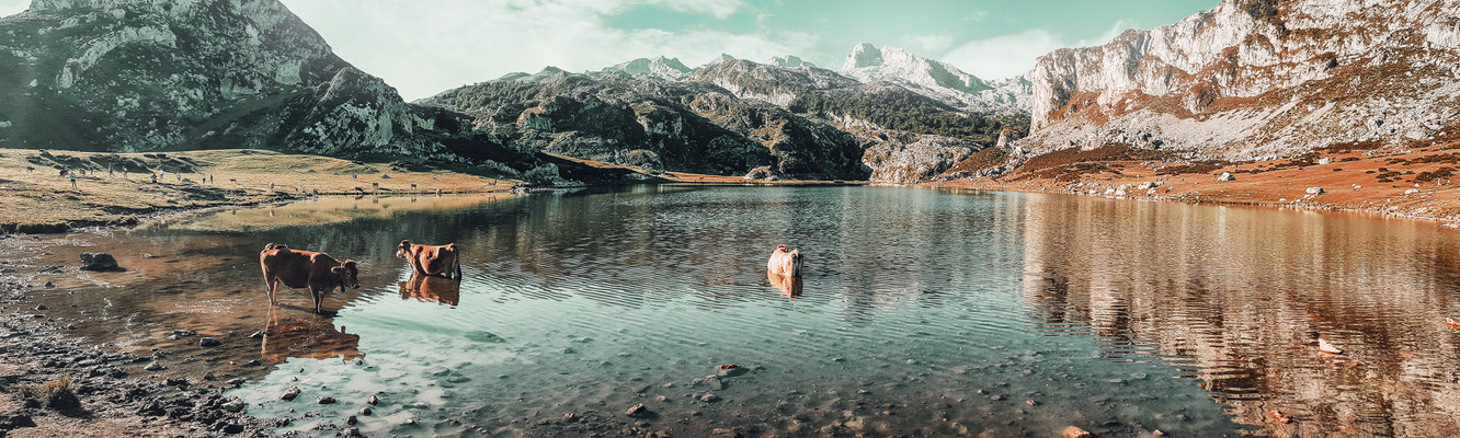 LAGOS DE COVADONGA