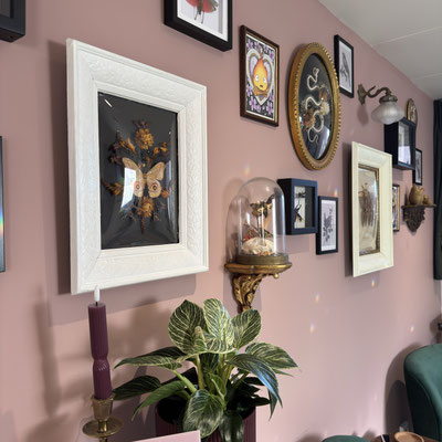 Details tattoo studio taxidermy