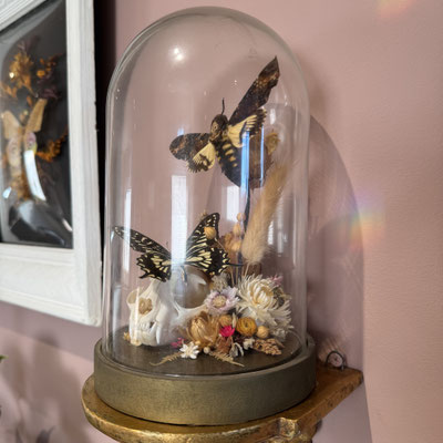 Details tattoo studio taxidermy