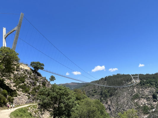 Wir steigen Holztreppen hoch und sehen bald das 516m lange Meisterwerk, Ponte 516 Arouca.