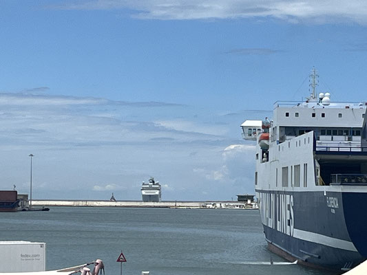 Glücklicherweise hört der Regen auf und wir können ohne Regenschutz zurück zum Hafen spazieren, wo wir gerade ein MSC Kreuzfahrtschiff in den Hafen schwimmen sehen.