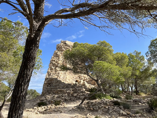 Wir wandern um das Cap de Capdepera und kommen am "Torre Esbucada" vorbei.