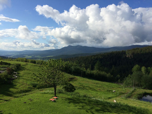 Ausblick in den Lamer Winkel