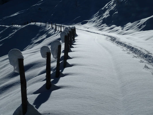 Schneeschuhwandern in Bayern