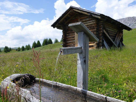 Almenwanderungen im Lesachtal