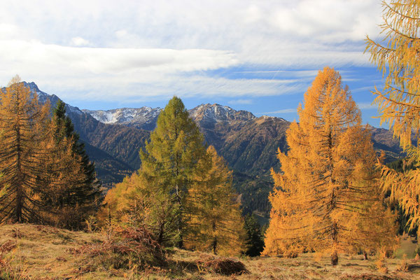 Herbst im Lesachtal
