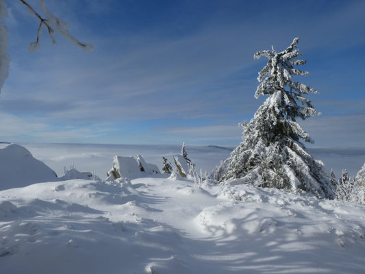 Mit Schneeschuhen unterwegs im Bayerischen Wald