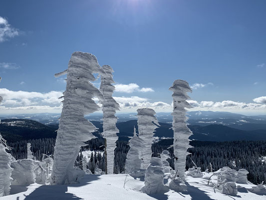 Wintererlebnisse im Bayerischen Wald