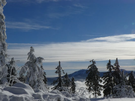Schneeschuhwandern am Großen Osser