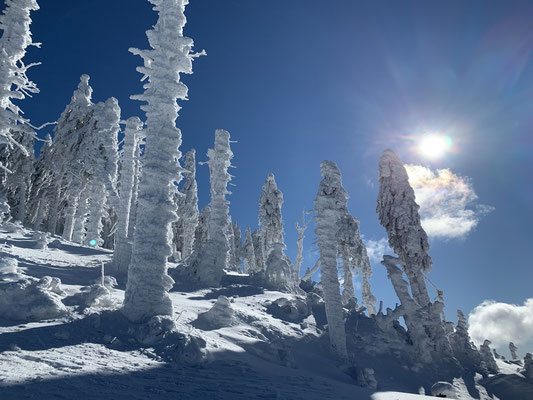 Schneeschuhtour auf den Kleinen Arber