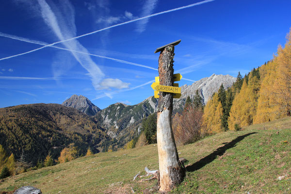 Wanderung zur Lackenalm - Lesachtal