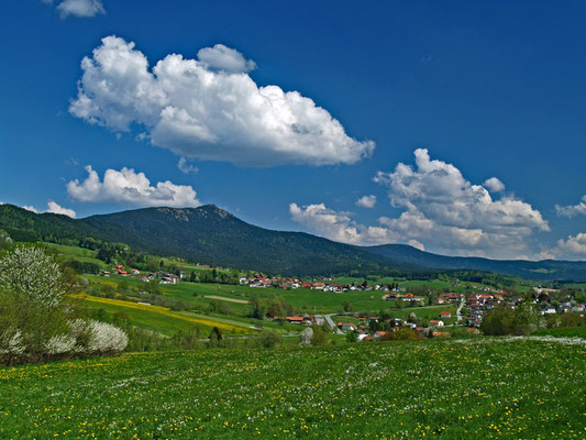 Kleiner Osser von Lam