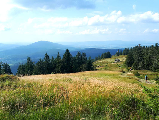 Osserwiese am Kleinen Osser