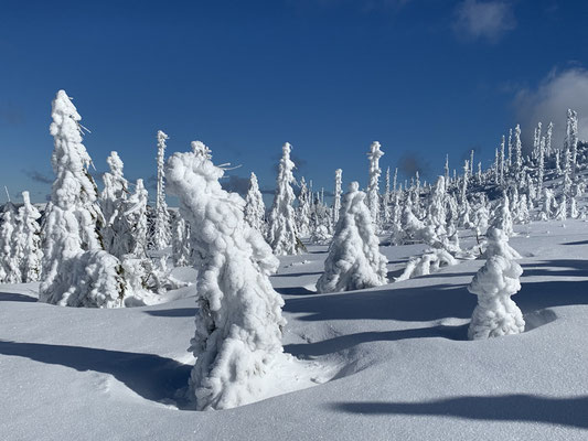 Wintermärchen Bayerischer Wald