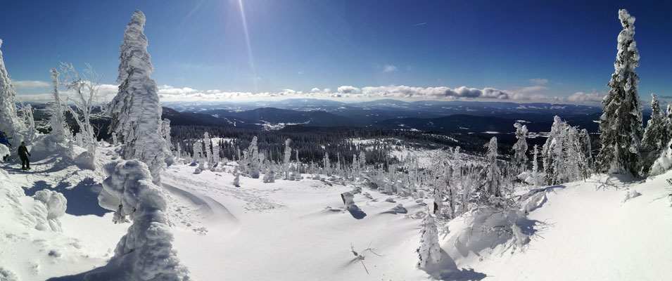 Ausblick in den Lamer Winkl