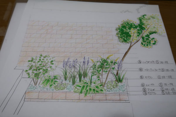 植栽計画プランニングイラスト：一回目の提案図です。これから何度か打ち合わせを重ねました